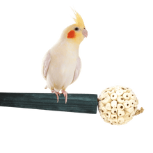 Load image into Gallery viewer, Microphone Perch