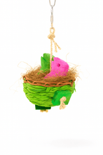 Load image into Gallery viewer, Baby Dino Nest