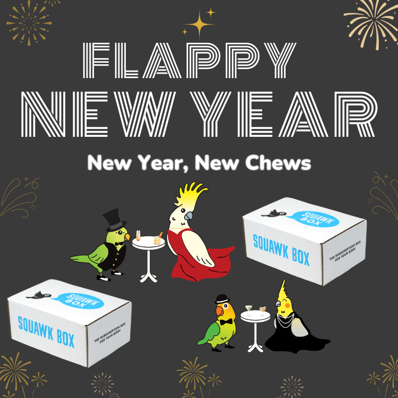 Flappy New Year Squawk Box