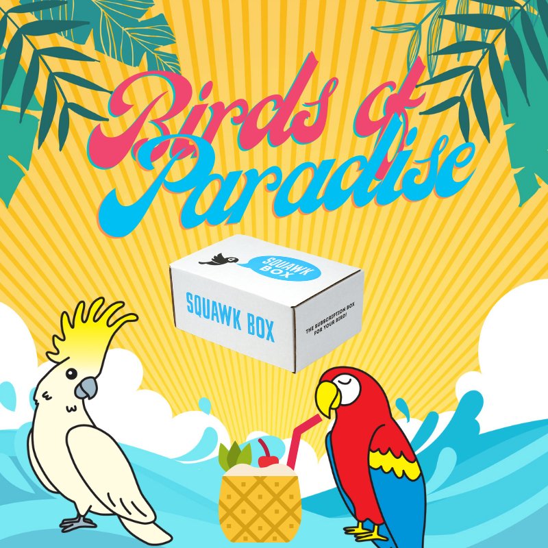 Birds of Paradise Squawk Box