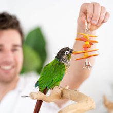 Load image into Gallery viewer, Little Birdie (6 Month Gift)