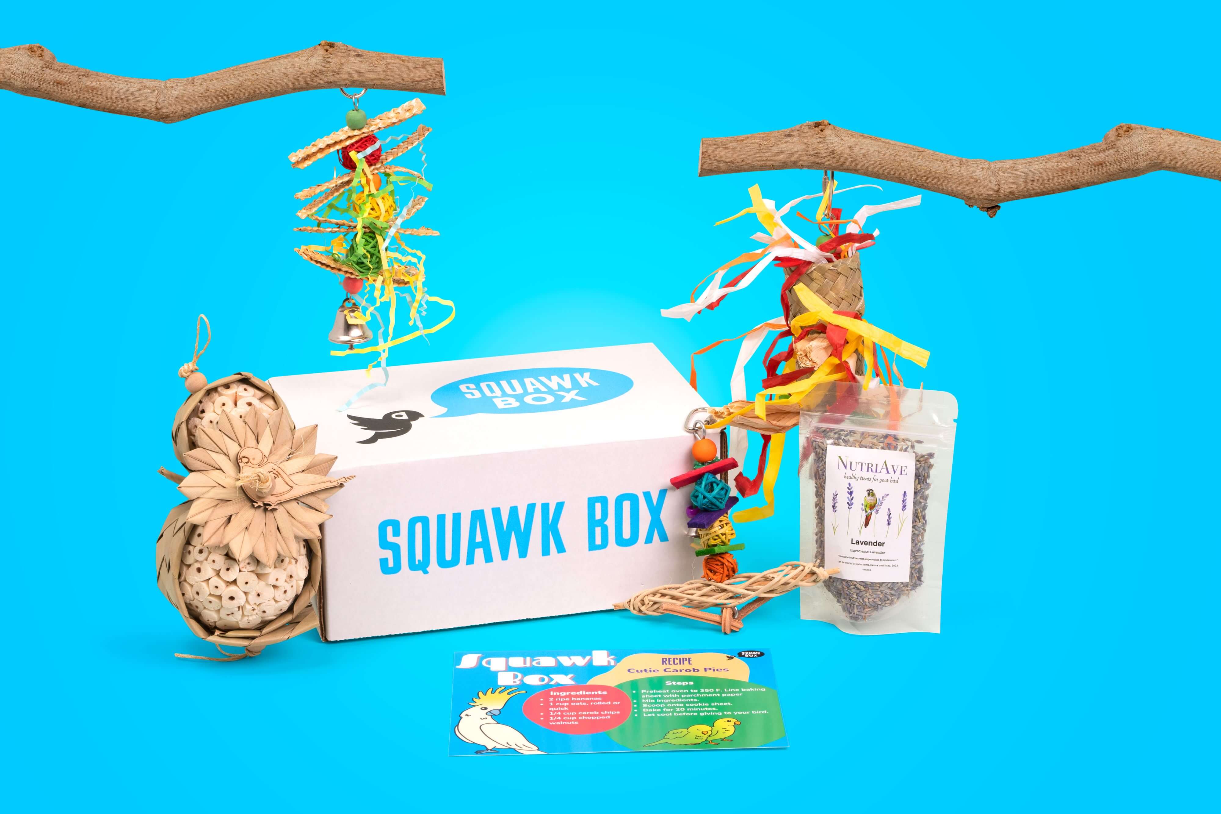 squawk-box