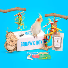 Load image into Gallery viewer, Little Birdie (6 Month Gift)