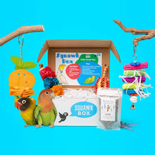 Load image into Gallery viewer, Little Birdie (6 Month Gift)