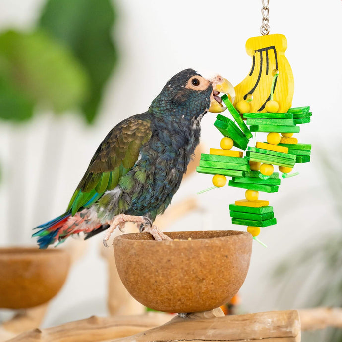 The Importance of Bird Toys: Why Your Feathered Friend Needs Playtime