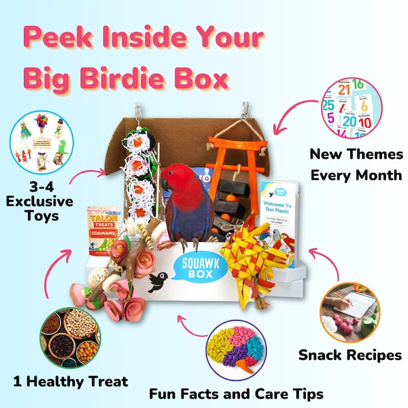 10 (1).webp__PID:d9c0ad09-bf69-4bfc-b06e-f571c10bae41