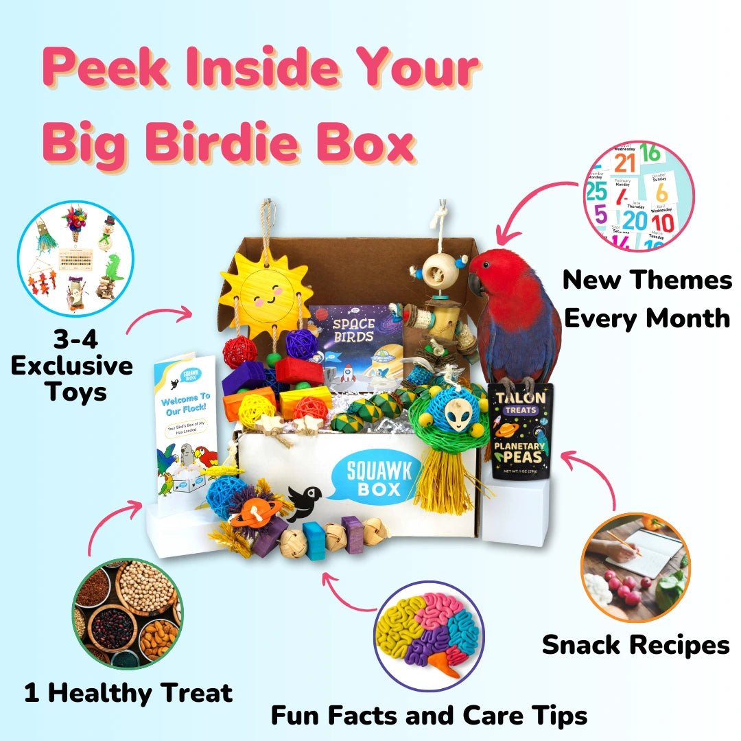 Big Birdie (Month To Month)