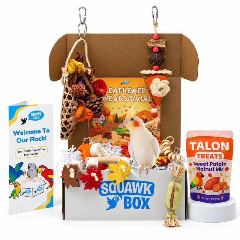 Little Birdie Toys & Treats Box (Month to Month)
