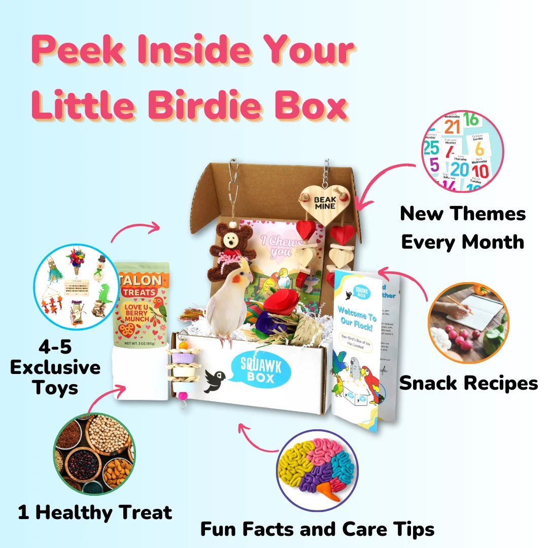 Little Birdie (Month To Month)