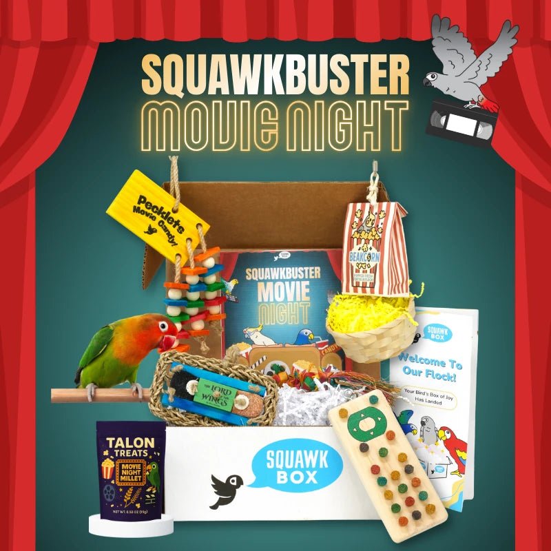 Little Birdie (Month To Month)