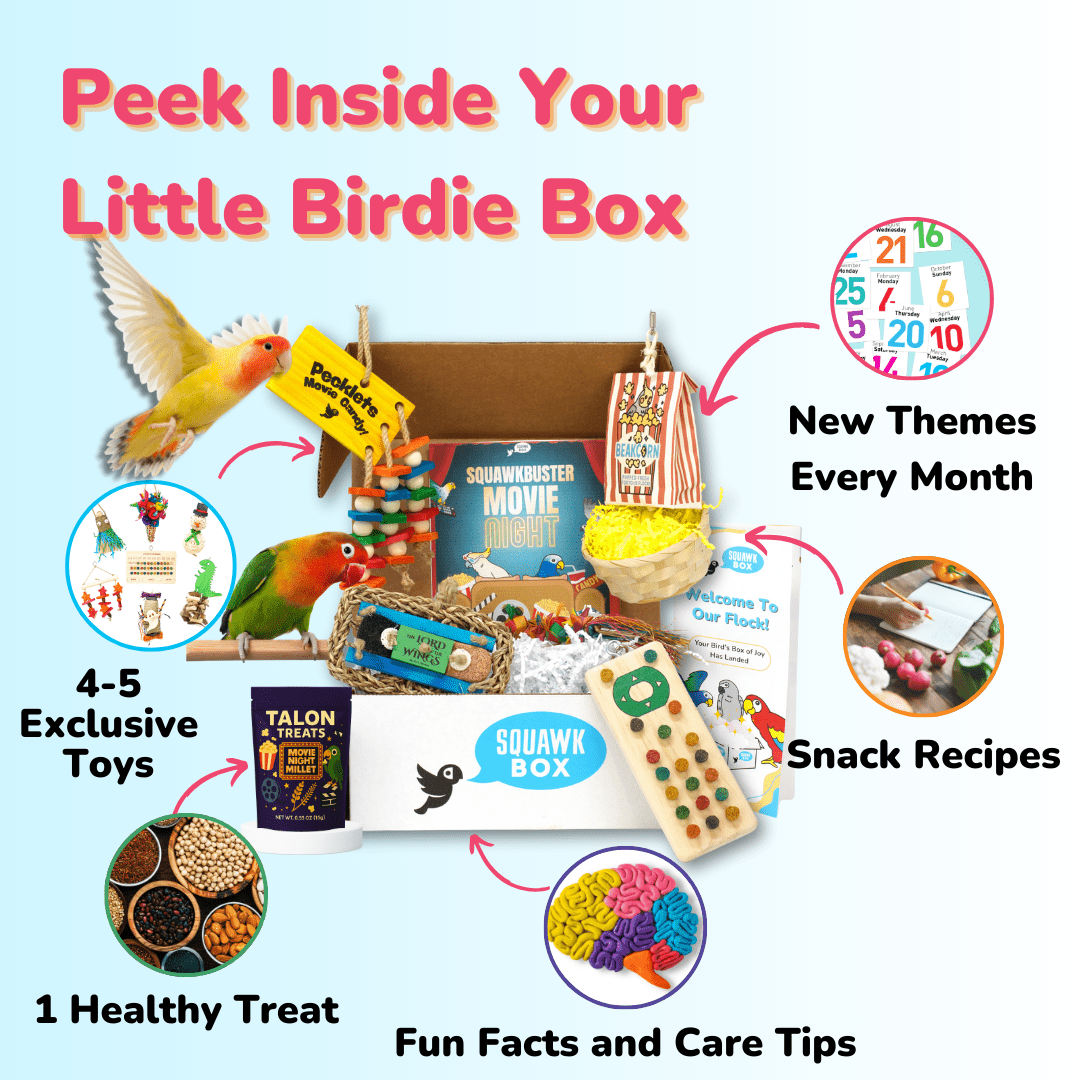 Little Birdie (Month To Month)