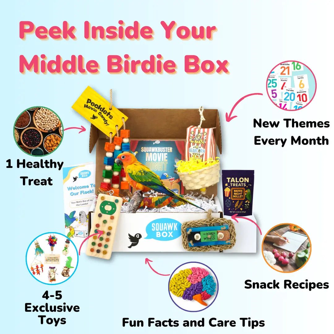 Middle Birdie (Month To Month)