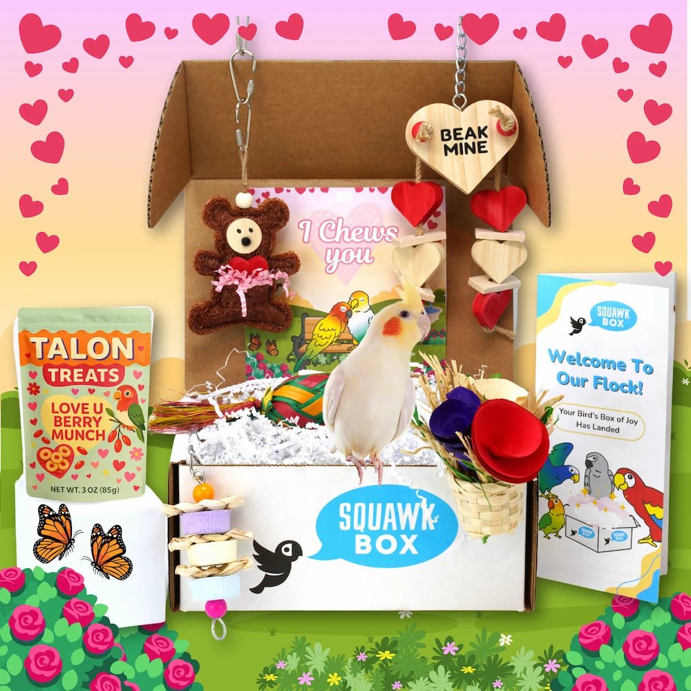 Little Birdie (Month To Month)