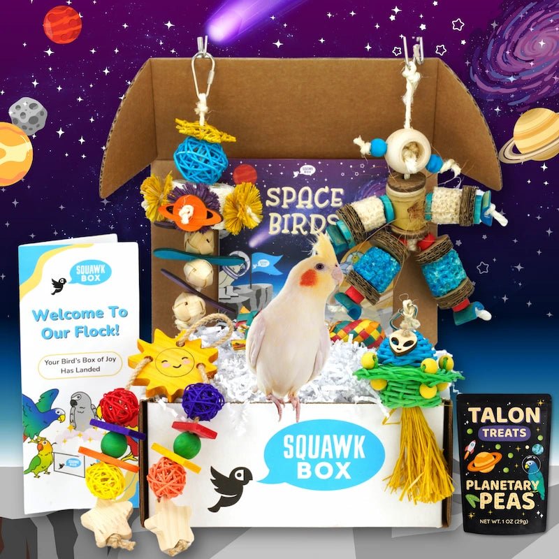 2 (45).webp__PID:d53b4185-ab41-4b0a-9f03-5b08ef230c29