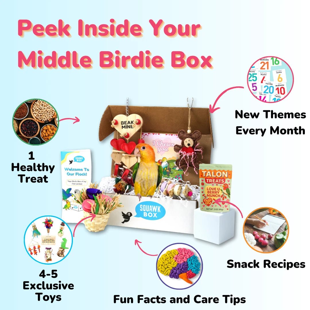 Middle Birdie (Month To Month)