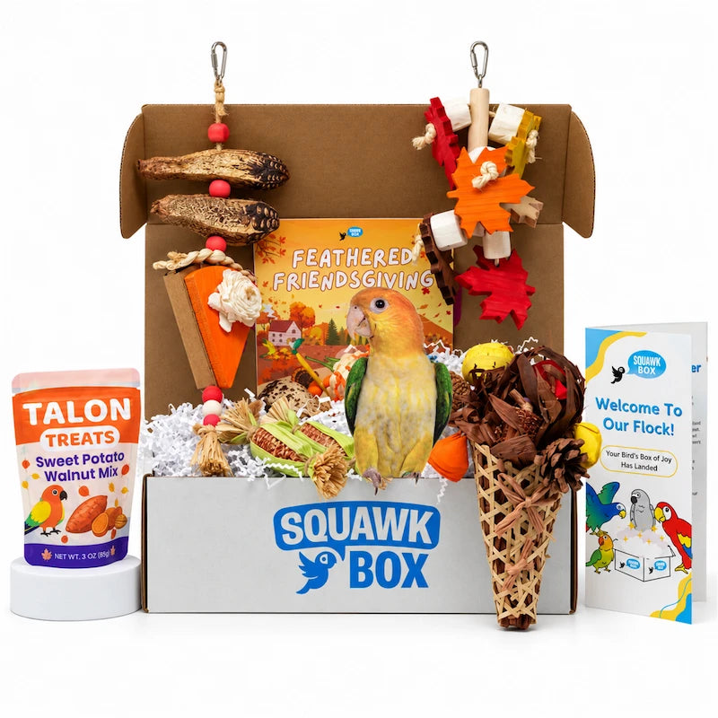 Middle Birdie Toys & Treats Box (Month to Month)