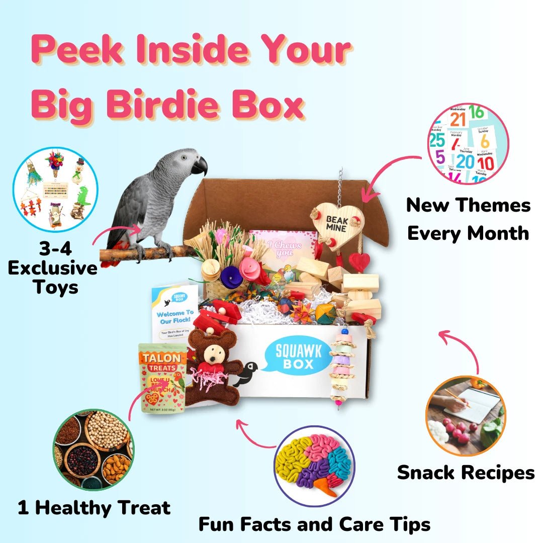 Big Birdie (Month To Month)