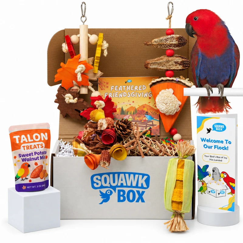 Squawk Box Big Birdie Toys & Treats Box