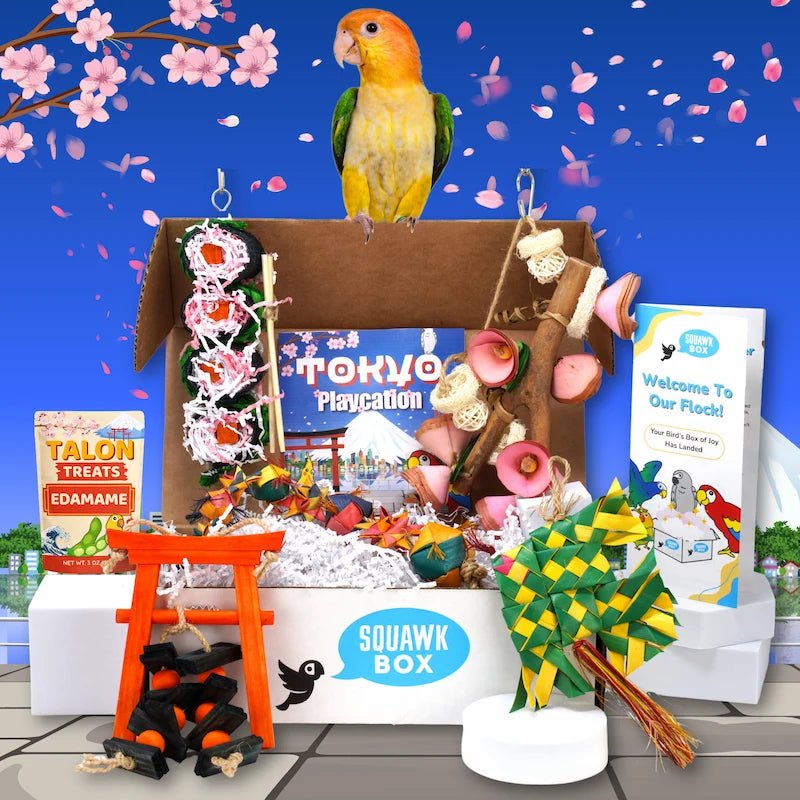 4 (11).webp__PID:a309d59d-320f-4006-83d0-897e3bd8dcd3