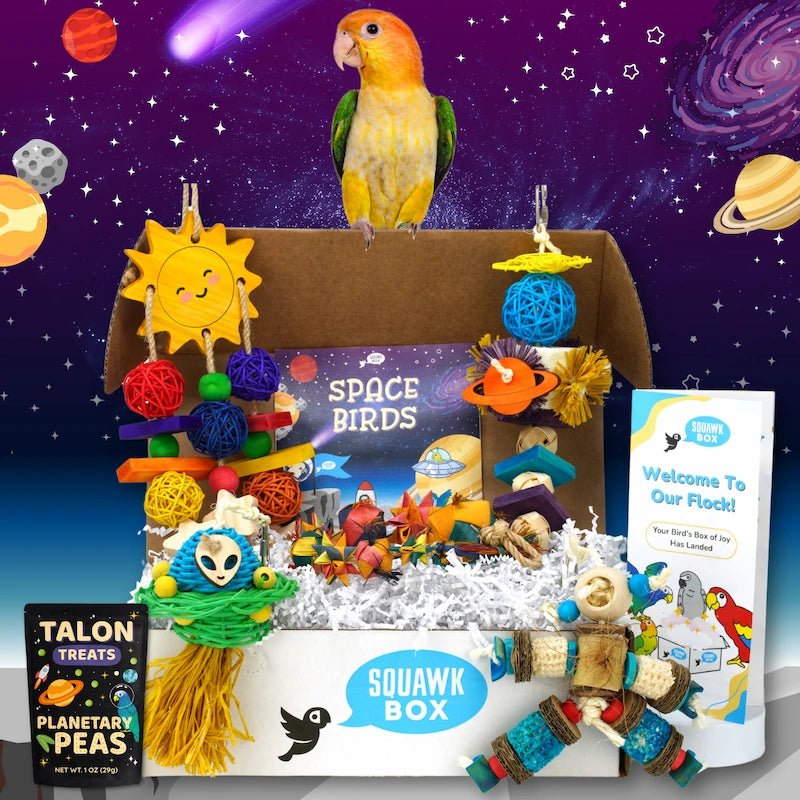 4 (8).webp__PID:33d53b41-85ab-41fb-8a5f-035b08ef230c