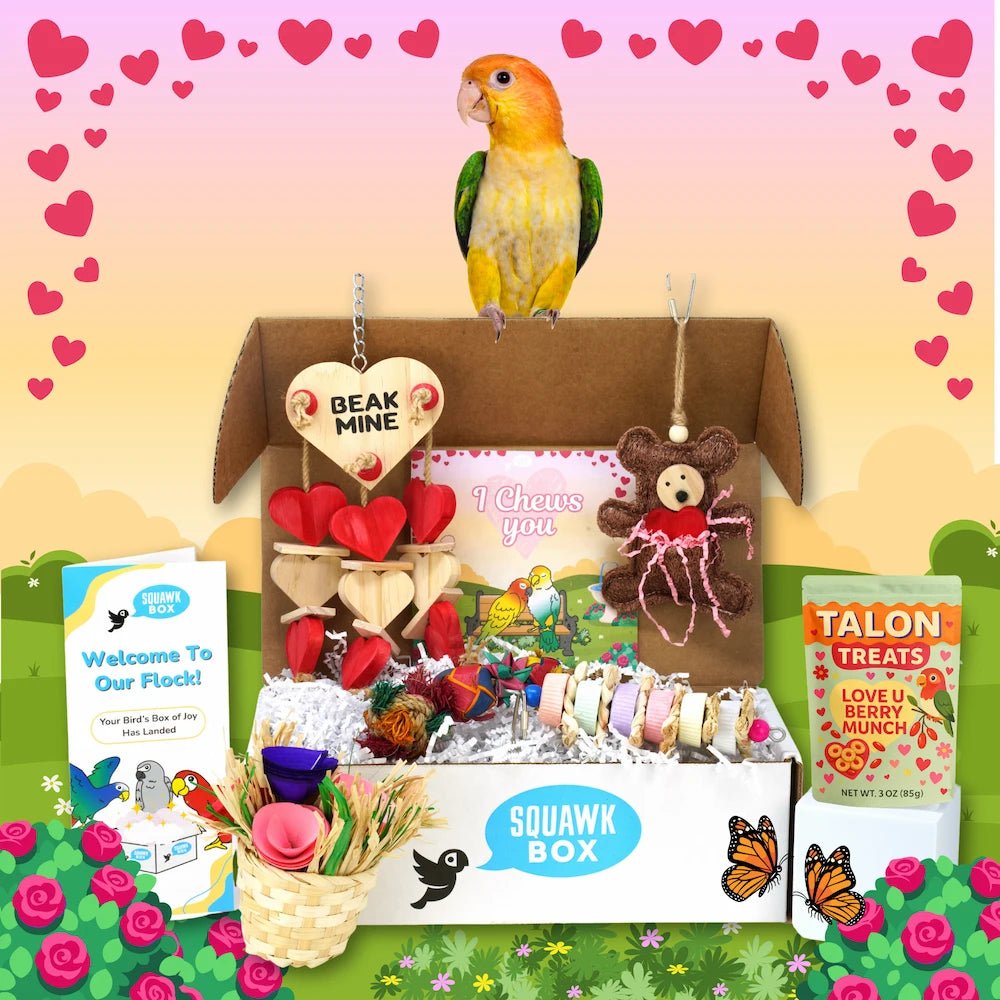 Middle Birdie (Month To Month)