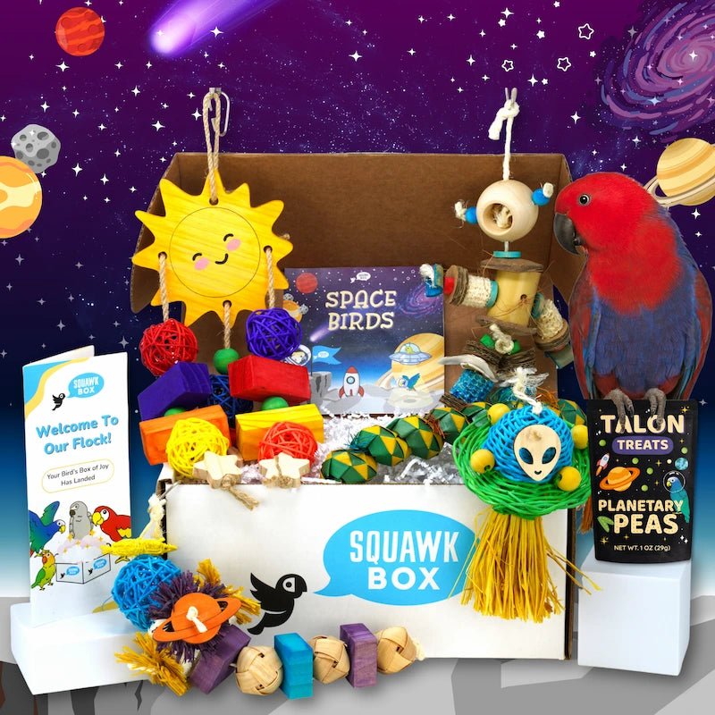 6 (1).webp__PID:0133d53b-4185-4b41-bb0a-5f035b08ef23