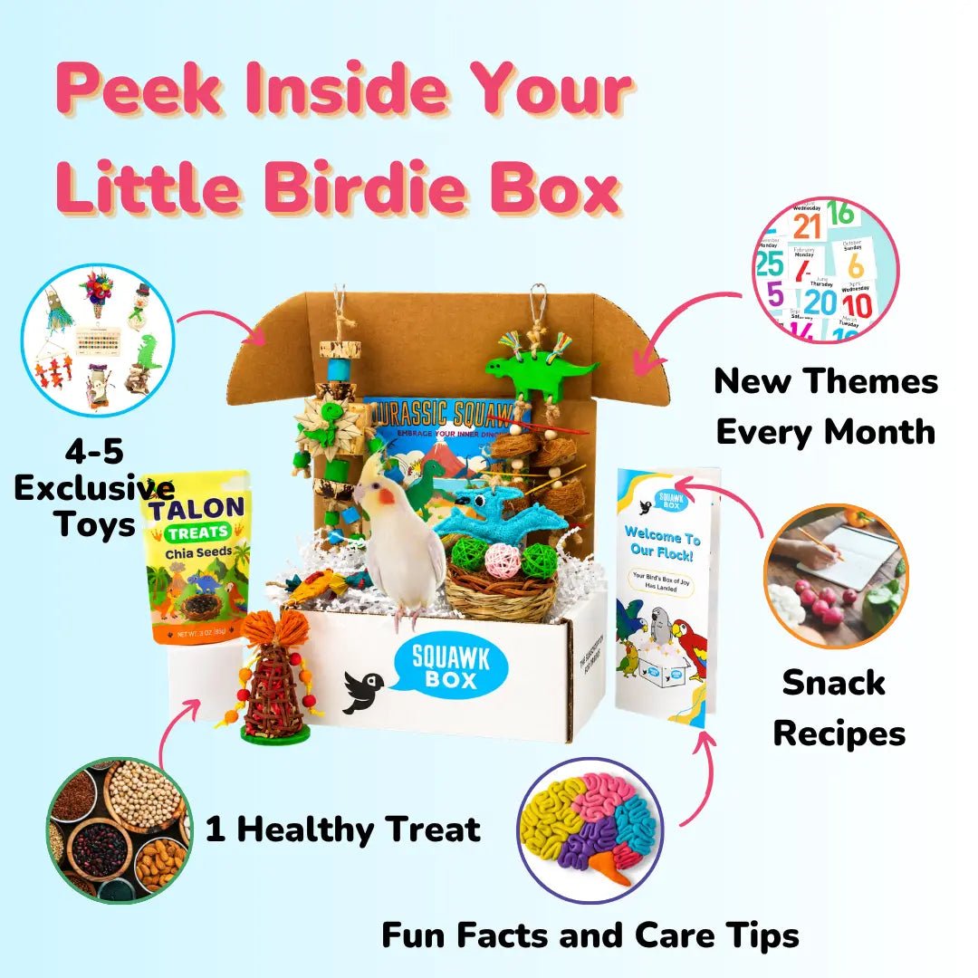 Little Birdie Toys & Treats Box (Month to Month)