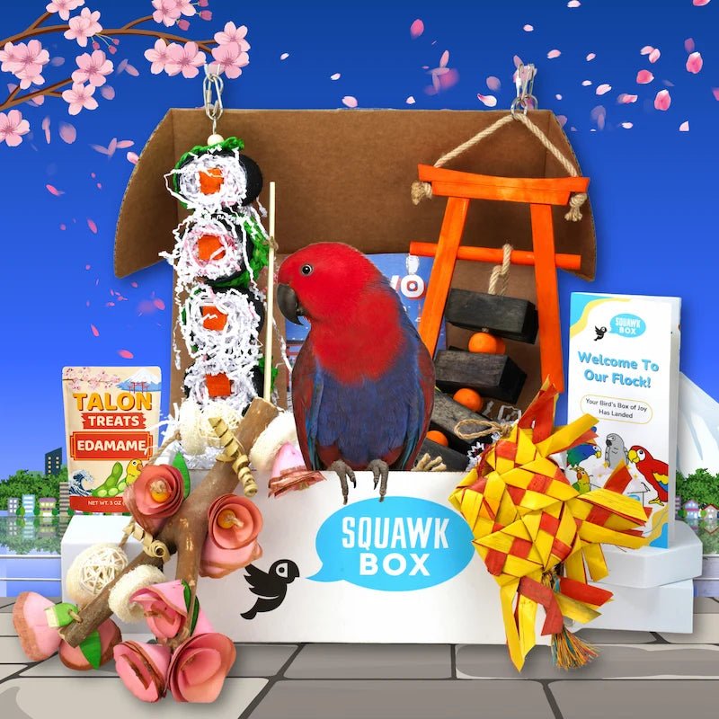 6 (2).webp__PID:6fa309d5-9d32-4fb0-86c3-d0897e3bd8dc