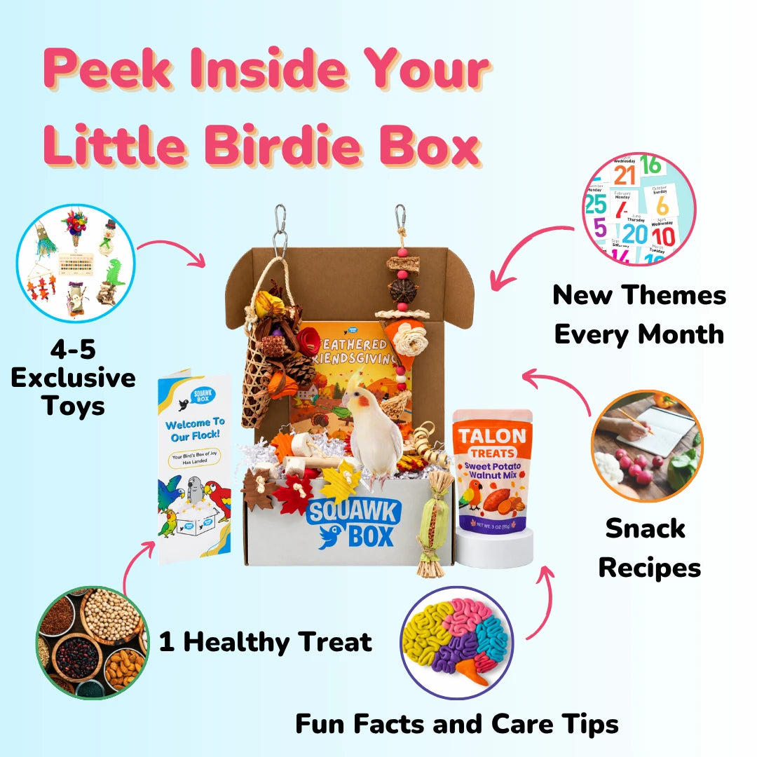 Little Birdie Toys & Treats Box (Month to Month)