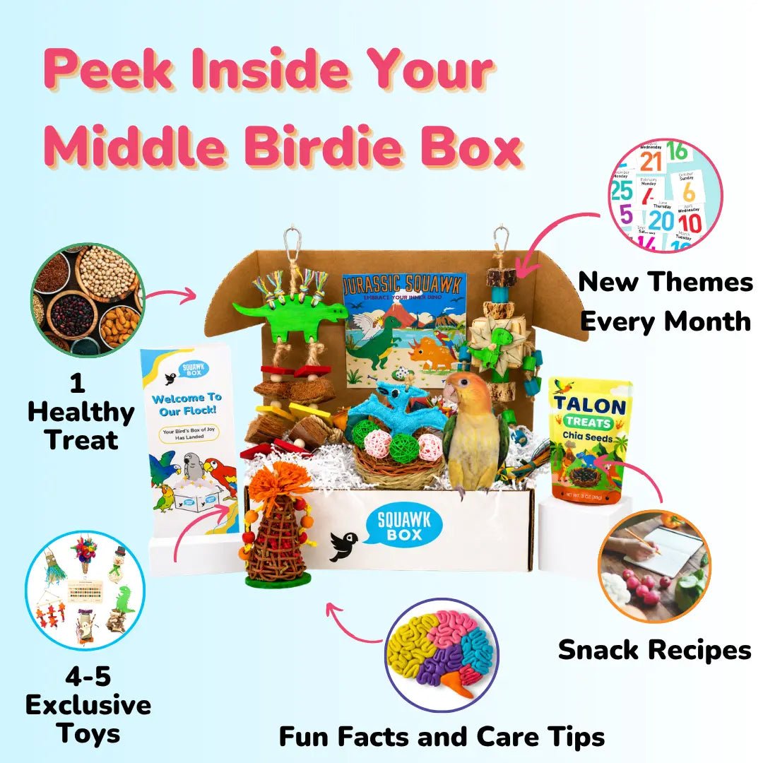 Middle Birdie Toys & Treats Box (Month to Month)