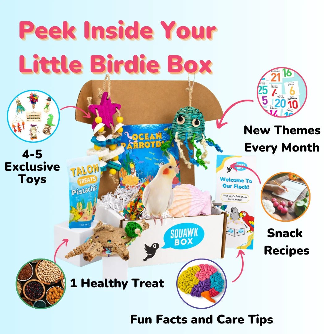 Little Birdie Toys & Treats Box (Month to Month)