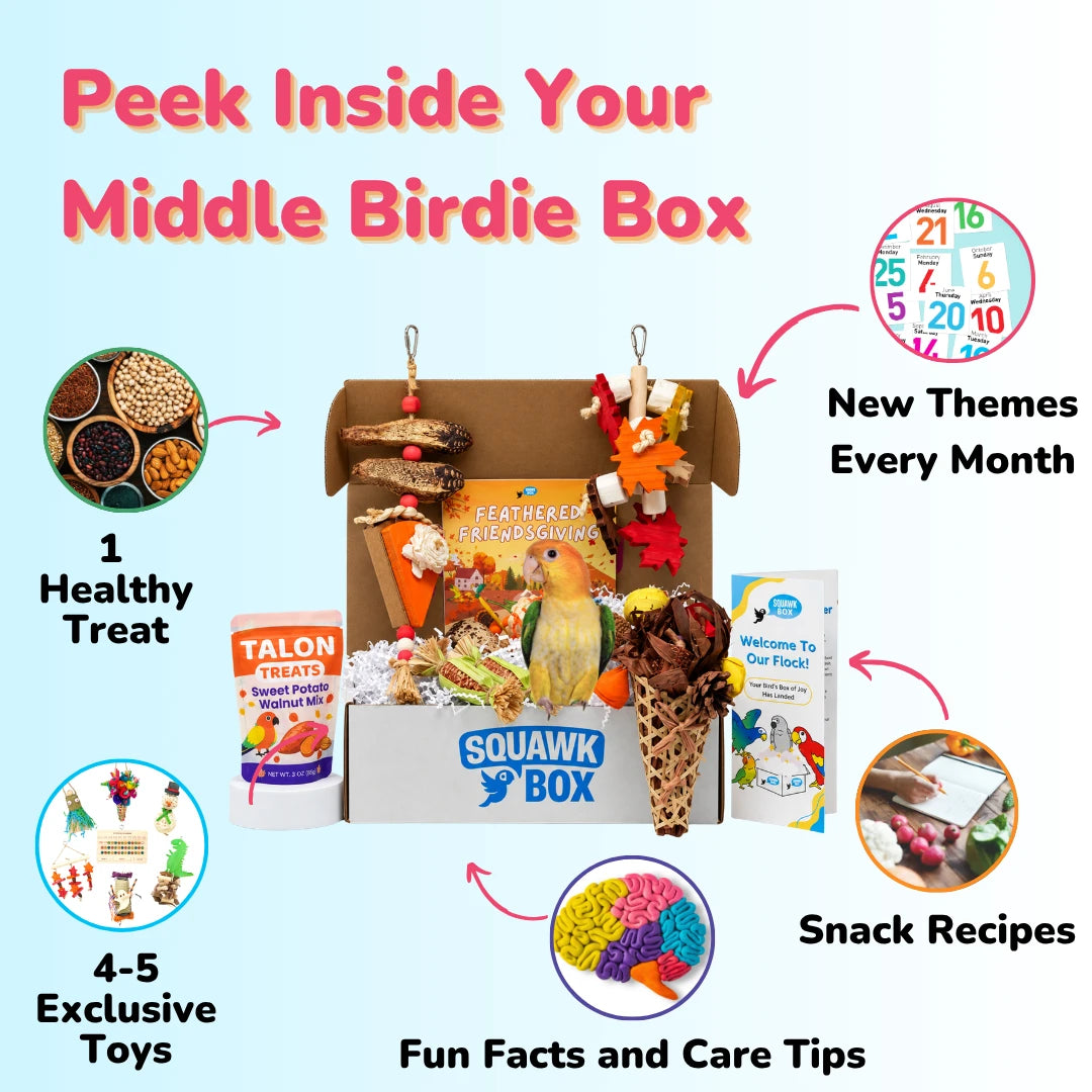 Middle Birdie Toys & Treats Box (Month to Month)