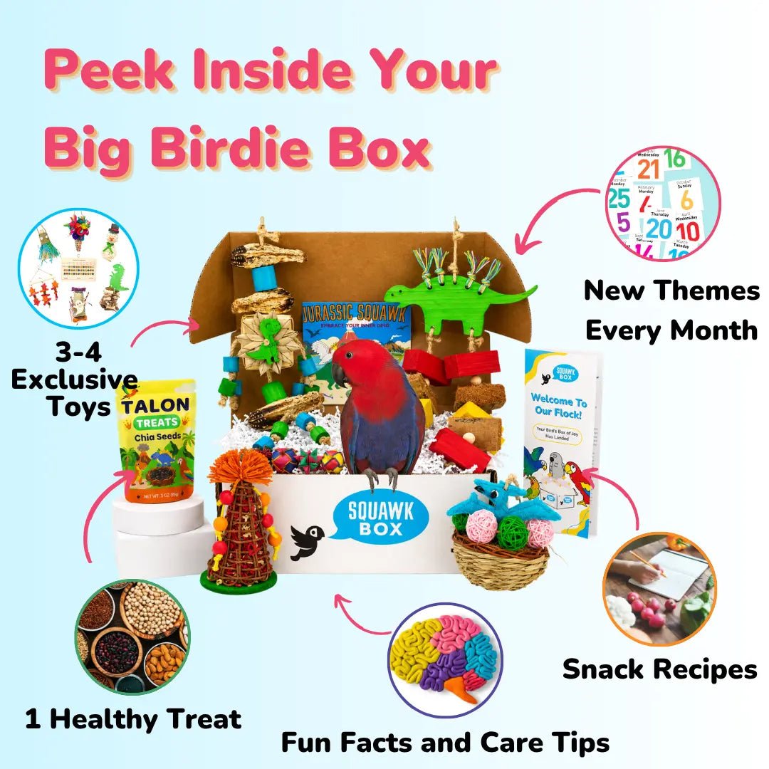 Big Birdie Toys & Treats Box (Month to Month)