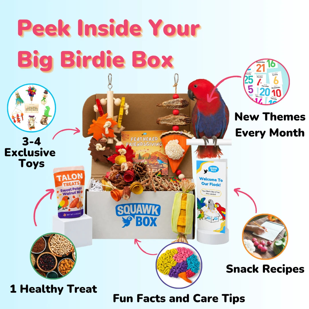 Squawk Box Big Birdie Toys & Treats Box