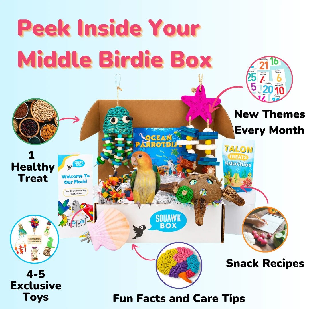 Middle Birdie Toys & Treats Box (Month to Month)