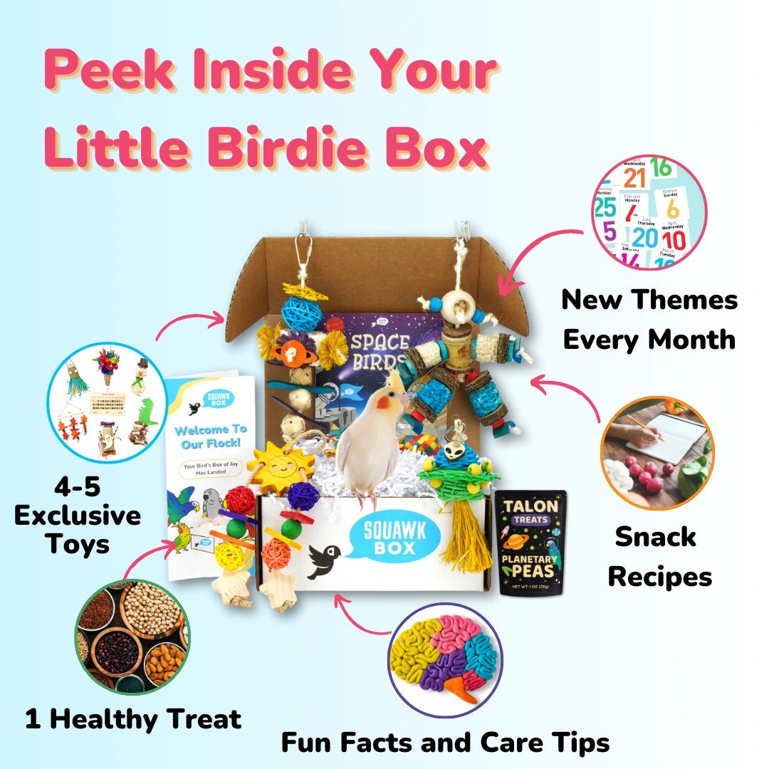 Little Birdie (Month To Month)