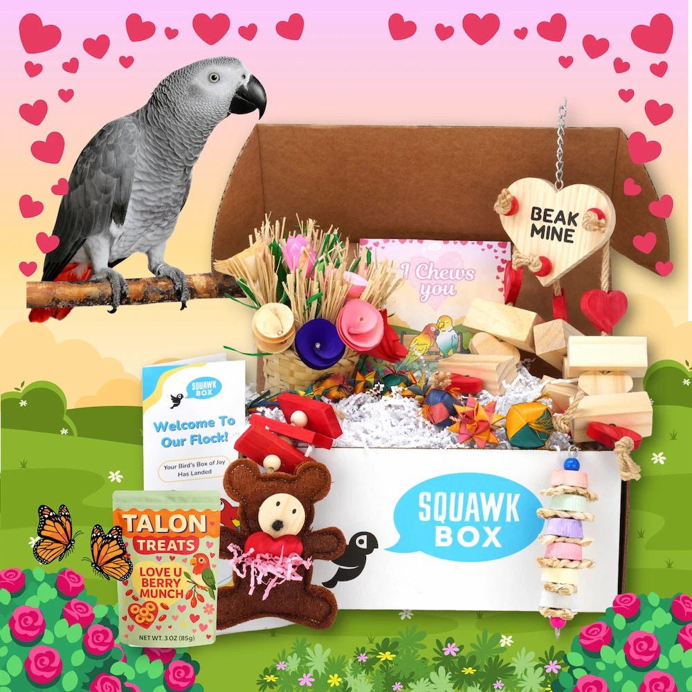 Big Birdie (Month To Month)