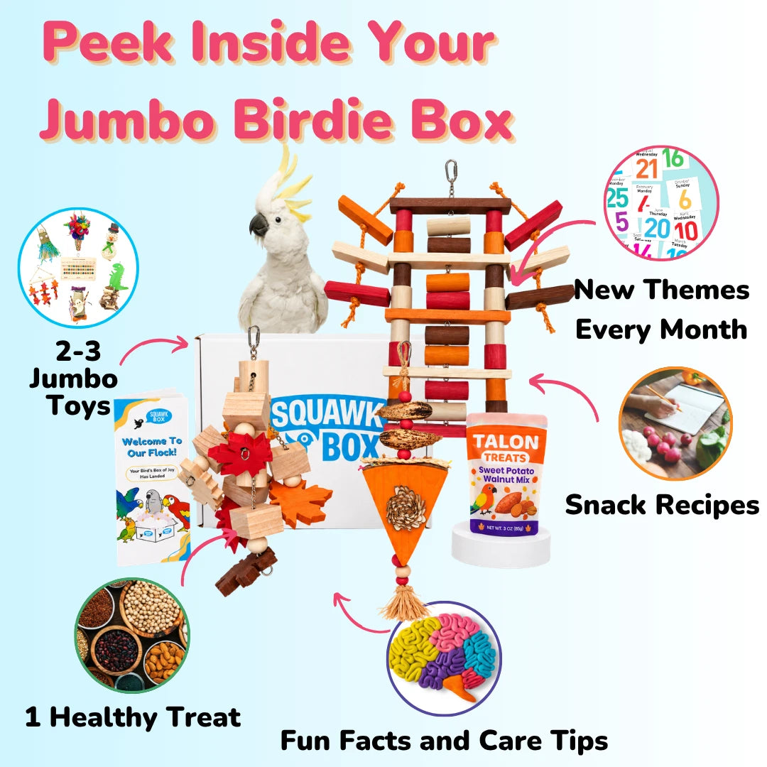 Squawk Box Jumbo Birdie Toys and Treats Box