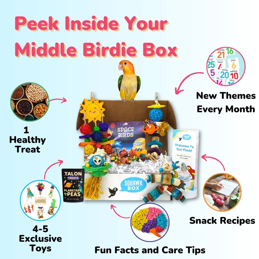 Middle Birdie (Month To Month)