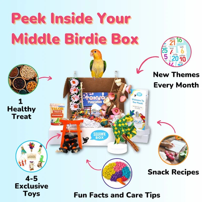 9 (2).webp__PID:c0ad09bf-69fb-4cf0-aef5-71c10bae4173