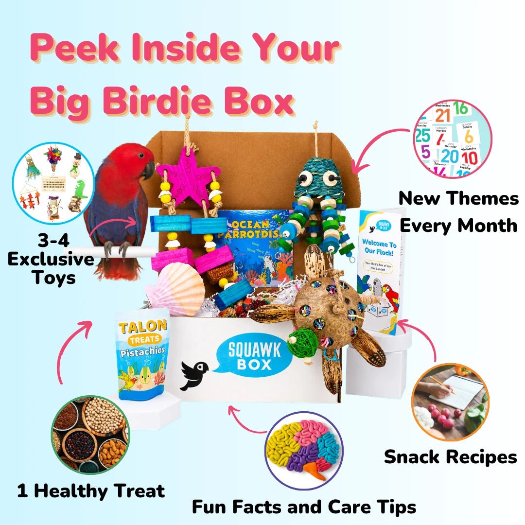 Big Birdie Toys & Treats Box (Month to Month)