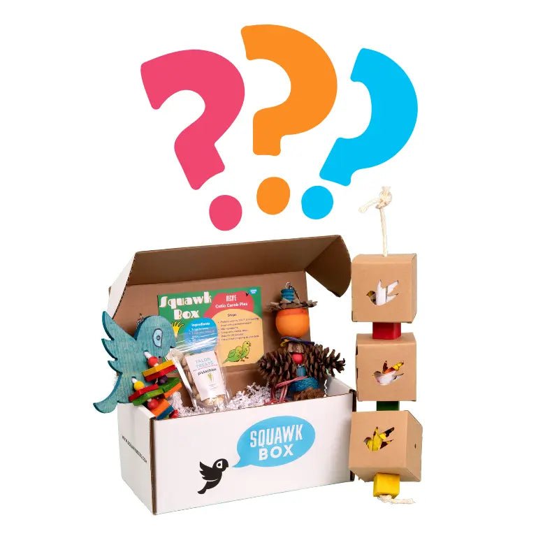 Big Birdie Mystery Box