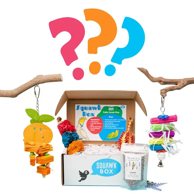 Little Birdie Mystery Box – Squawk Box