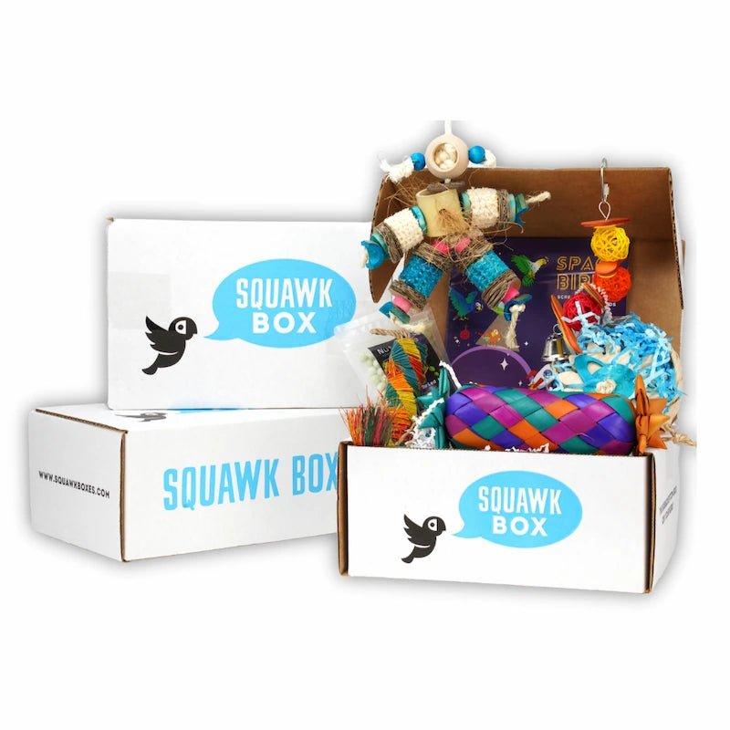 Big Birdie Toys & Treats Box (3 Month Prepay) – Squawk Box