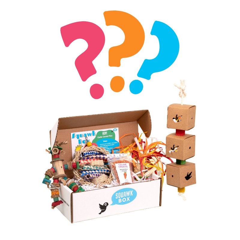 Shop – Squawk Box