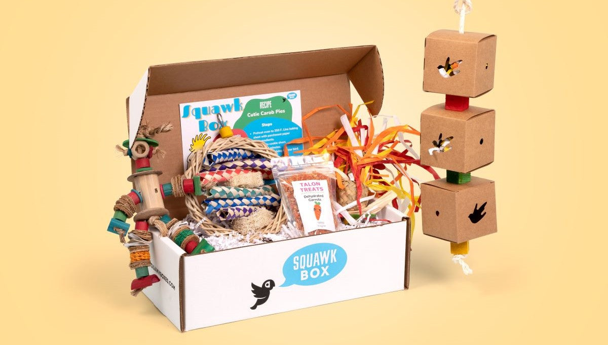 Choose Your Box – Squawk Box