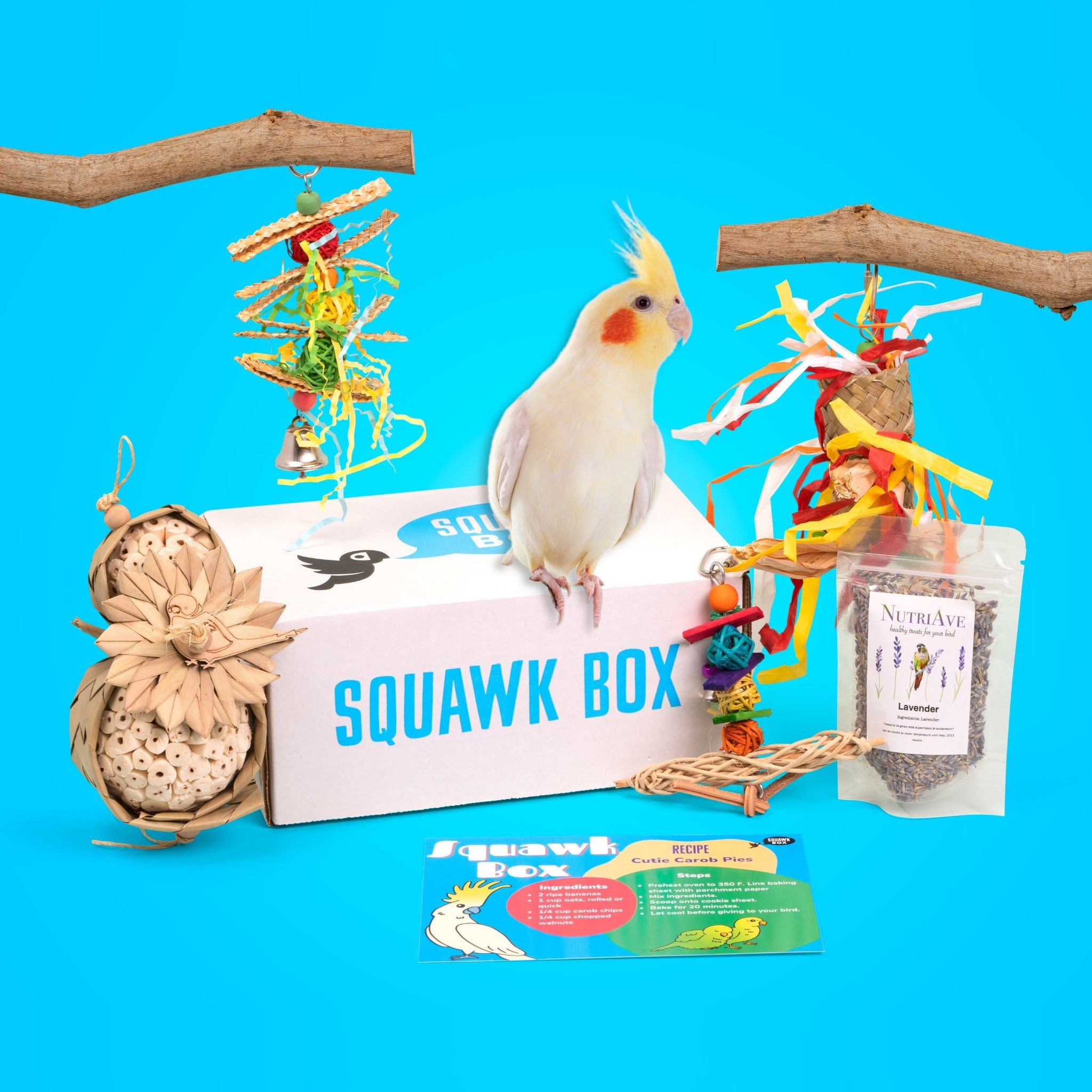 Bird Toy Subscription Boxes – Squawk Box