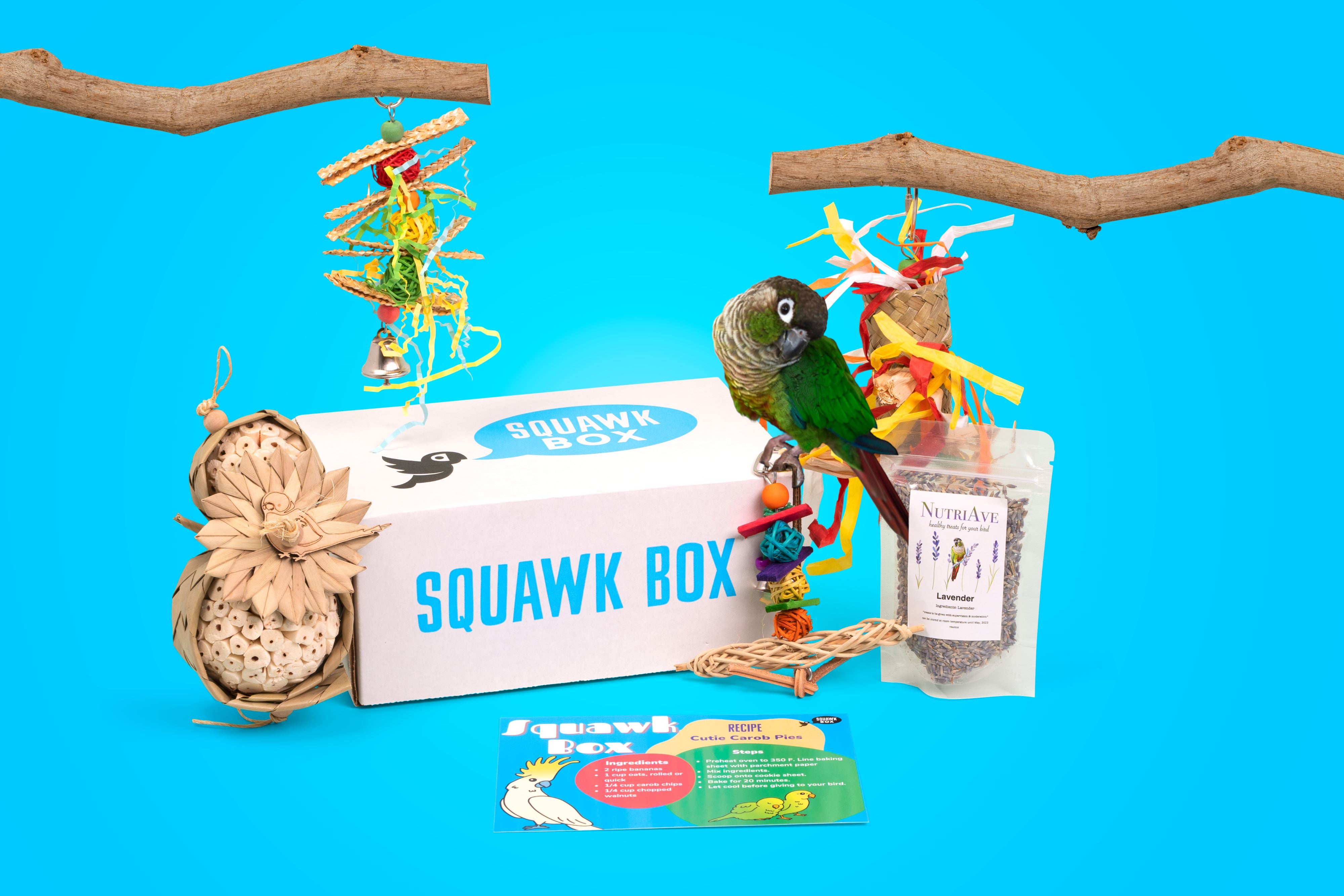 Squawk Box - The Monthly Subscription Box For Birds