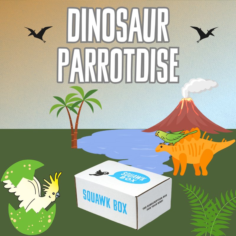 Dinosaur Parrotdise Squawk Box