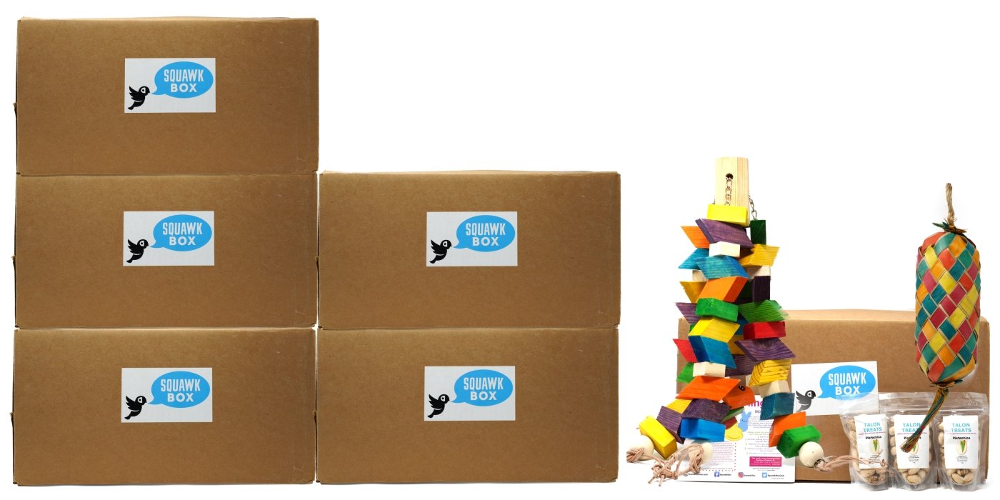 Jumbo Birdie Toys & Treats Box (6 Month Prepay) – Squawk Box